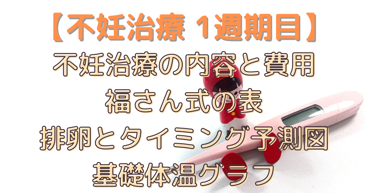 【不妊治療 1週期目】不妊治療の内容と費用、福さん式の表、排卵とタイミング予測図、基礎体温グラフ