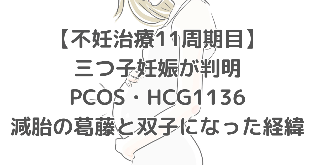 【不妊治療11周期目】三つ子妊娠が判明｜PCOS・HCG1136・減胎の葛藤と双子になった経緯のアイキャッチ画像