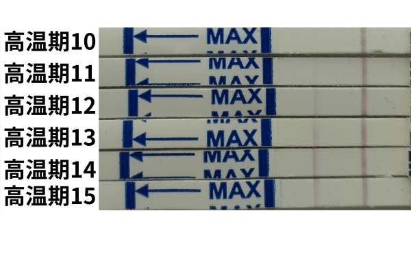 間違いなく判定線が薄くなっているドクターズチョイスワンステップの画像