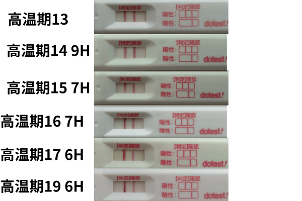 判定線が濃くなっているドゥーテストの比較画像