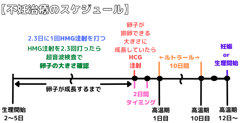 不妊治療の内容とスケジュール