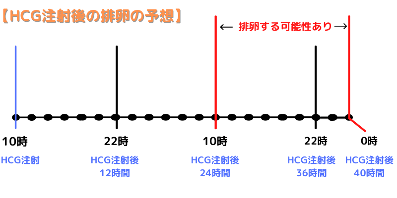 HCG注射後の排卵予測